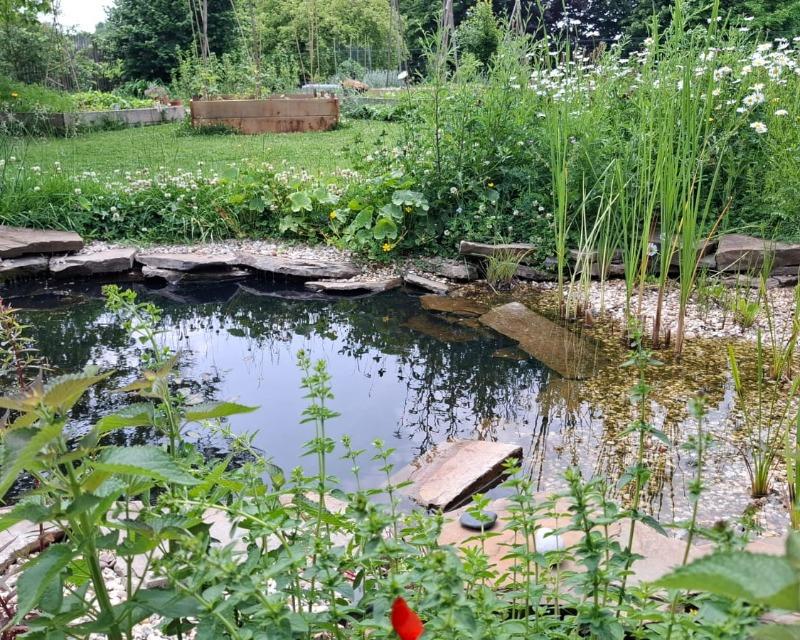 20250603_173354_nat-rn-terrain-603_photo_jardin 2.jpg